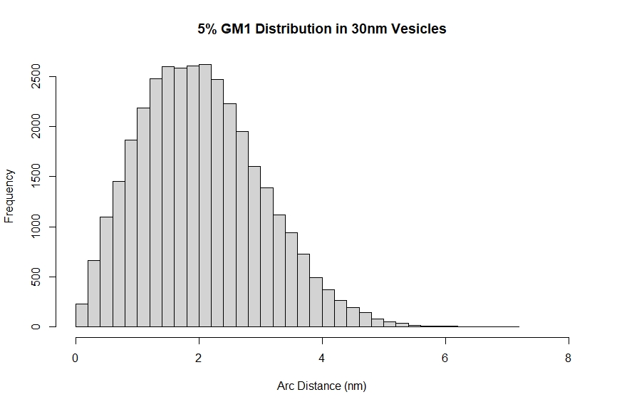 Distribution of ganglioside distances in a 5% GM1 30 nm vesicle