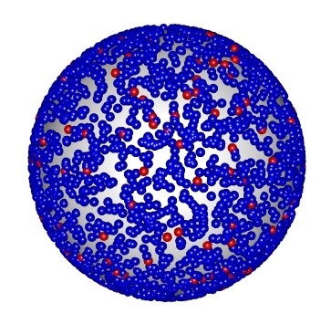 Model of 30nm Vesicle